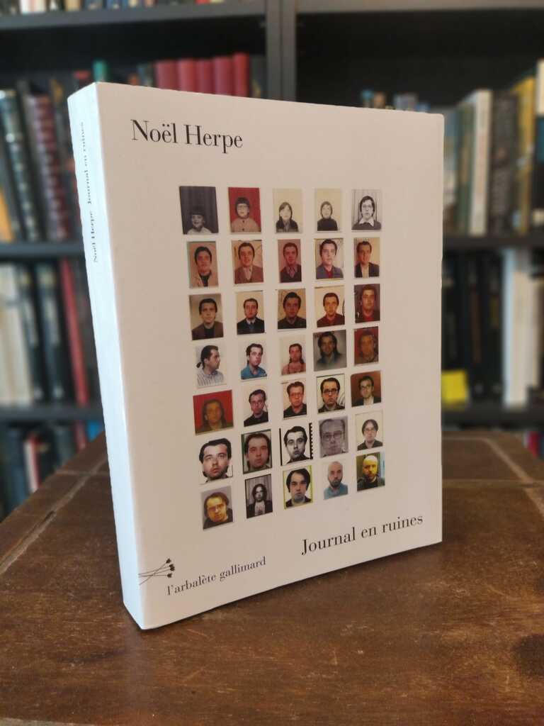 Journal en ruines - Noël Herpe