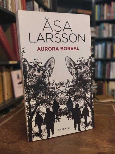 Aurora boreal - Åsa Larsson