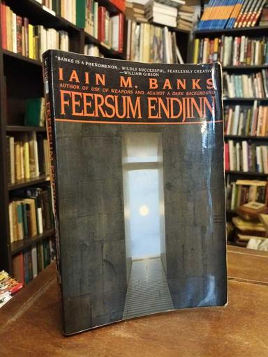 Feersum Endjinn - Iain Banks