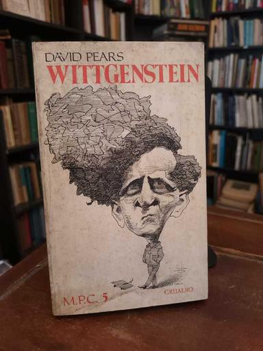 Wittgenstein - David Pears