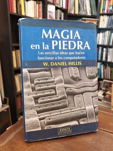 Magia en la piedra - Daniel W. Hillis
