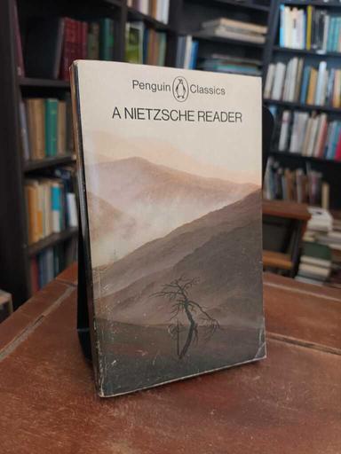 A Nietzsche Reader - Reginald John Hollingdale