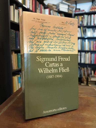 Cartas a Wilhelm Fliess (1887 - 1904) - Sigmund Freud