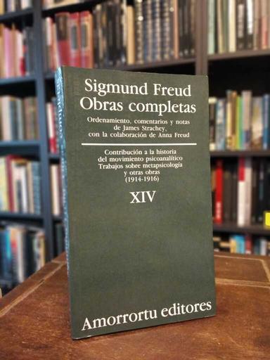 Obras completas, volumen 14 (1914-1916) - Sigmund Freud