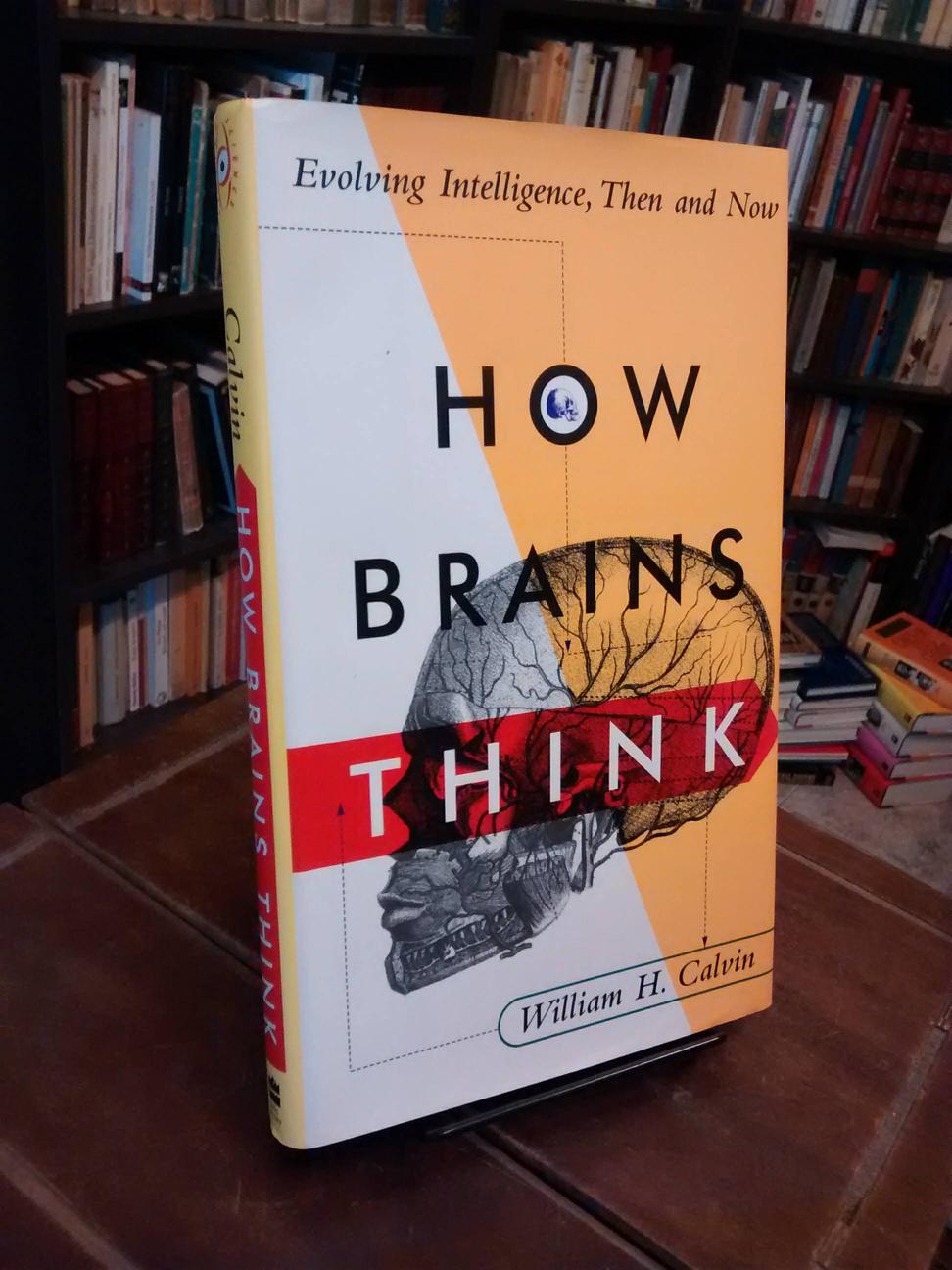 How Brains Think - William H. Calvin