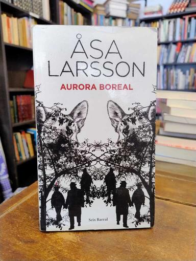 Aurora boreal - Åsa Larsson