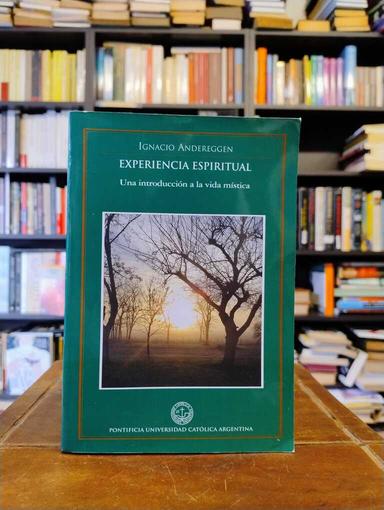 Experiencia espiritual - Ignacio Andereggen