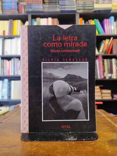 La letra como mirada - Silvia Elena Tendlarz