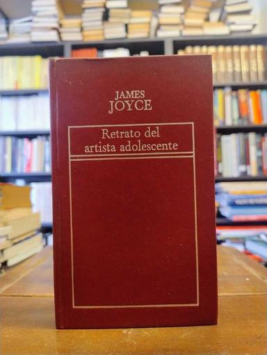 Retrato de un artista adolescente - James Joyce
