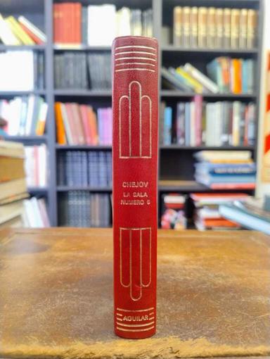 La sala número 6 y otros cuentos - Antón Chéjov