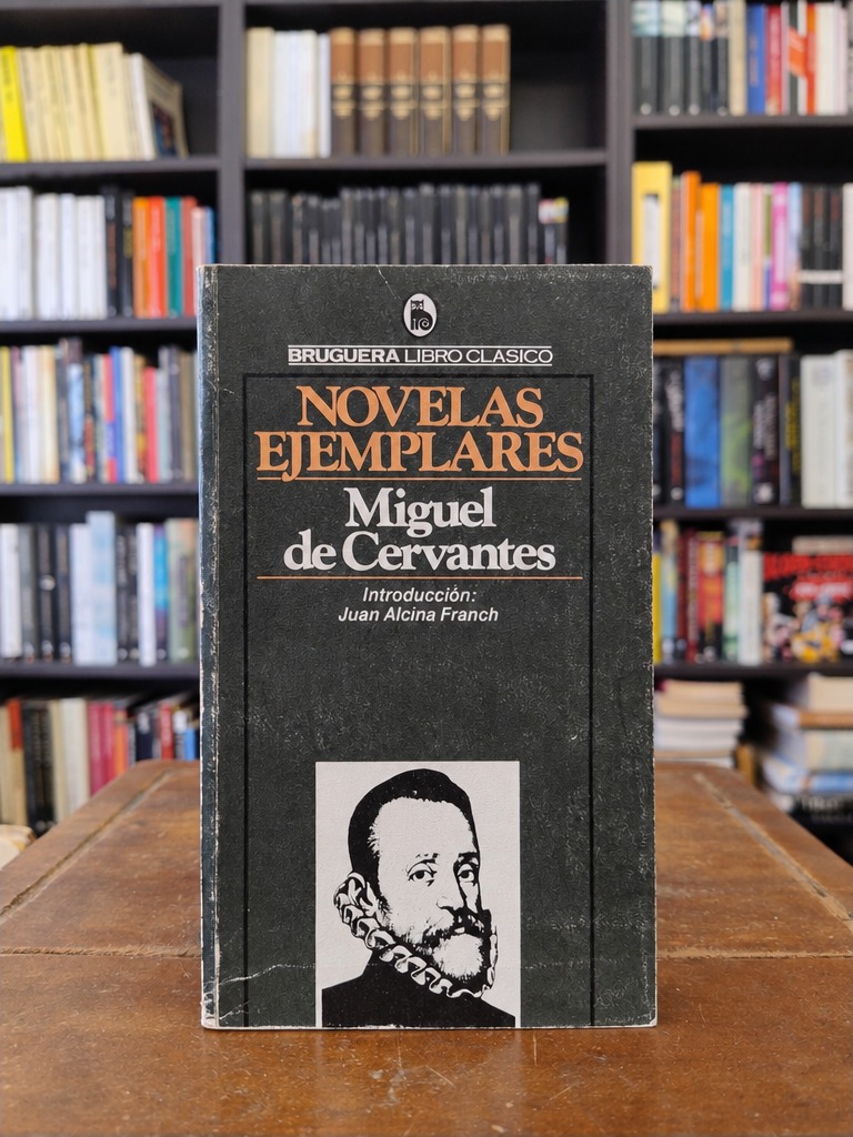 Novelas ejemplares - Miguel de Cervantes Saavedra